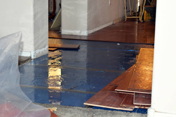 Professional Flood Damage Restoration technician working in Barton, OH